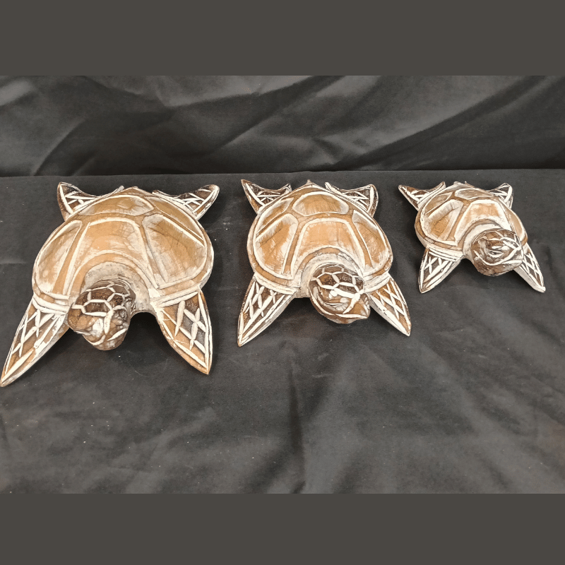 Wood Carving Turtle Ceruse