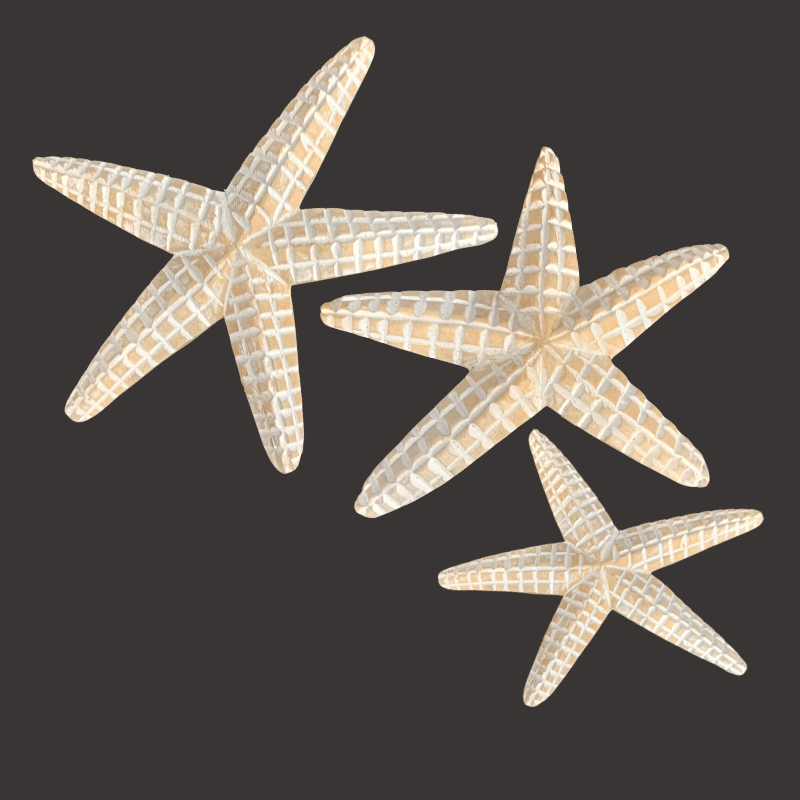 Set Of 3 Wood Starfish ceruse