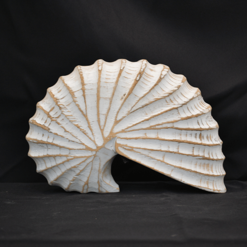 Wood Nautilus Ceruse